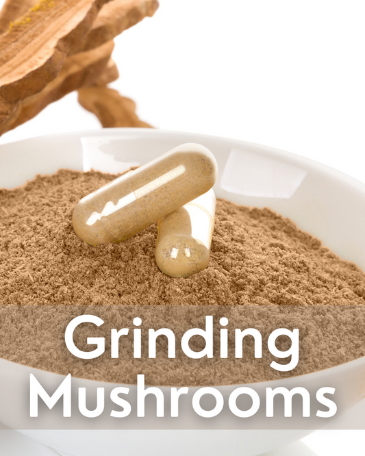 How to Make Your Own Mushroom Powder at Home