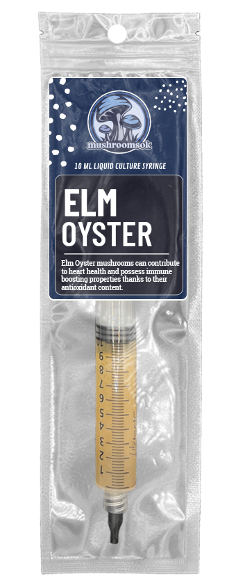 Elm Oyster Liquid Culture, Front