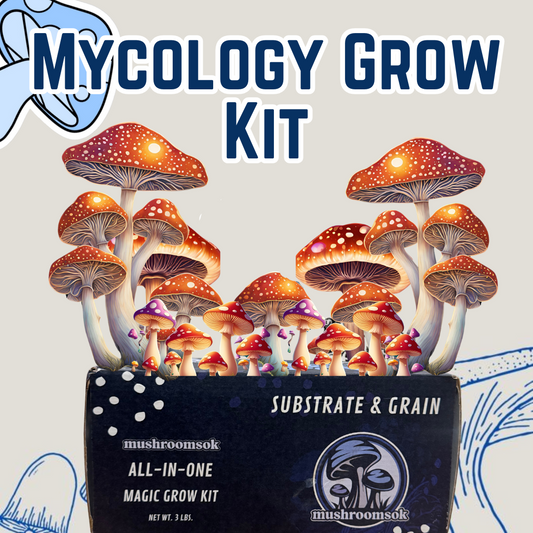 Mycology Grow Kit