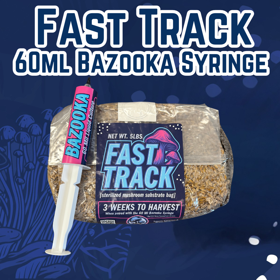 FastTrack Bags π₯ (NEW)