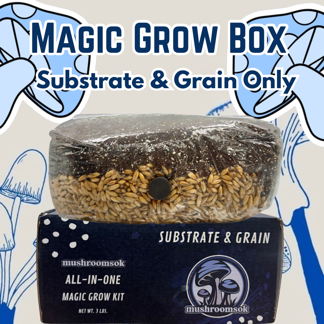 3lb All-in-One Mushroom Grow Bag – Grain + Substrate Only