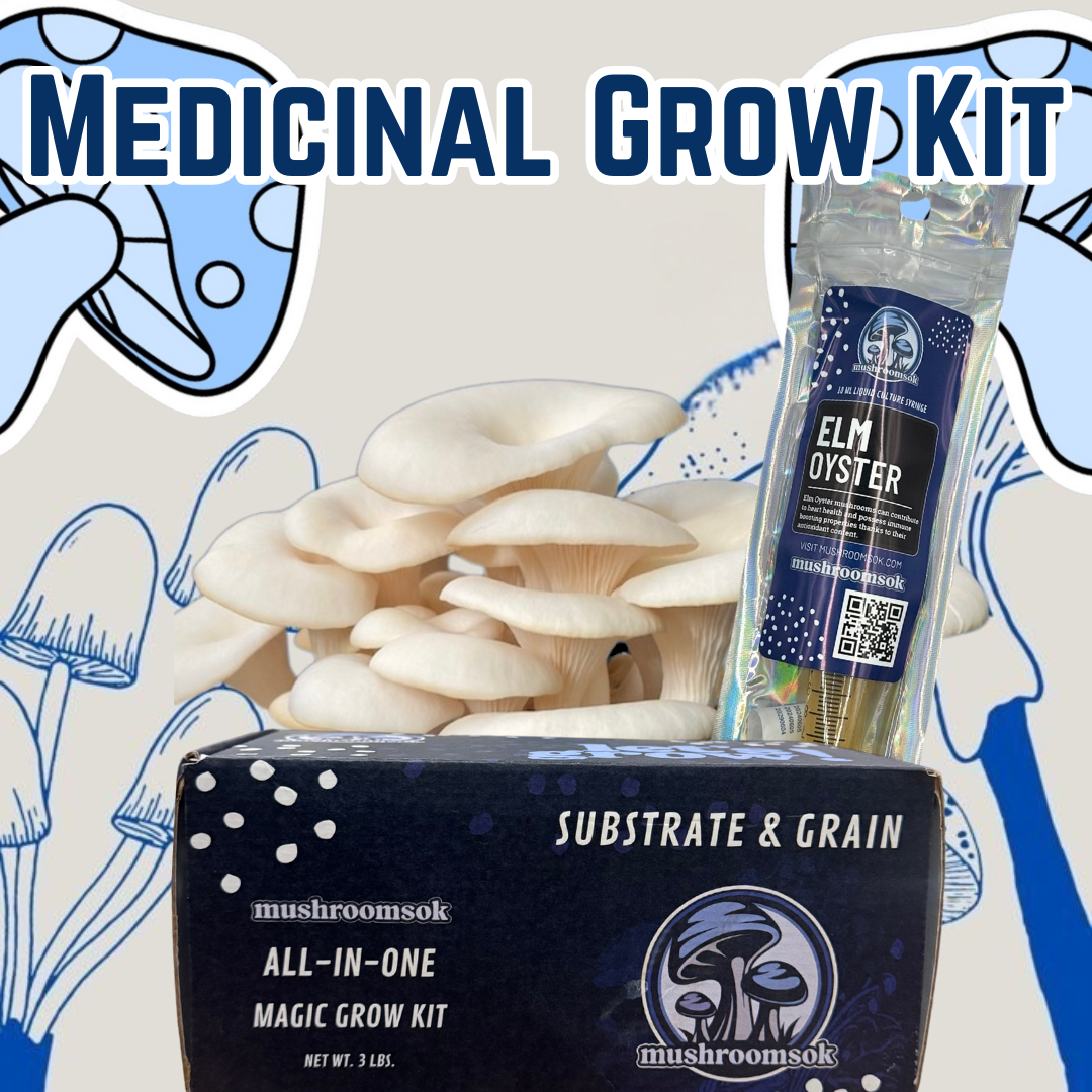 Medicinal Mushroom Grow Kit
