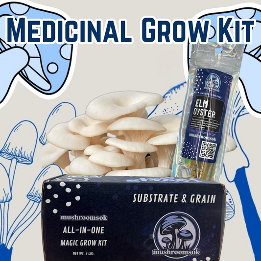 Medicinal Mushroom Grow Kit