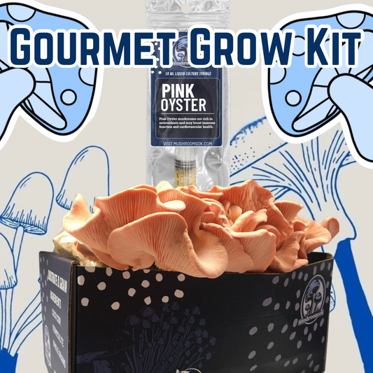 Gourmet Mushroom Grow Kit