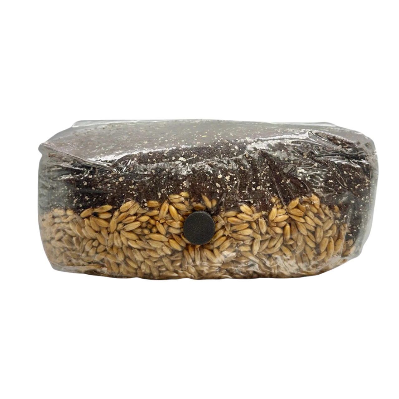 Mushrooms Ok 3lb Grow Bag