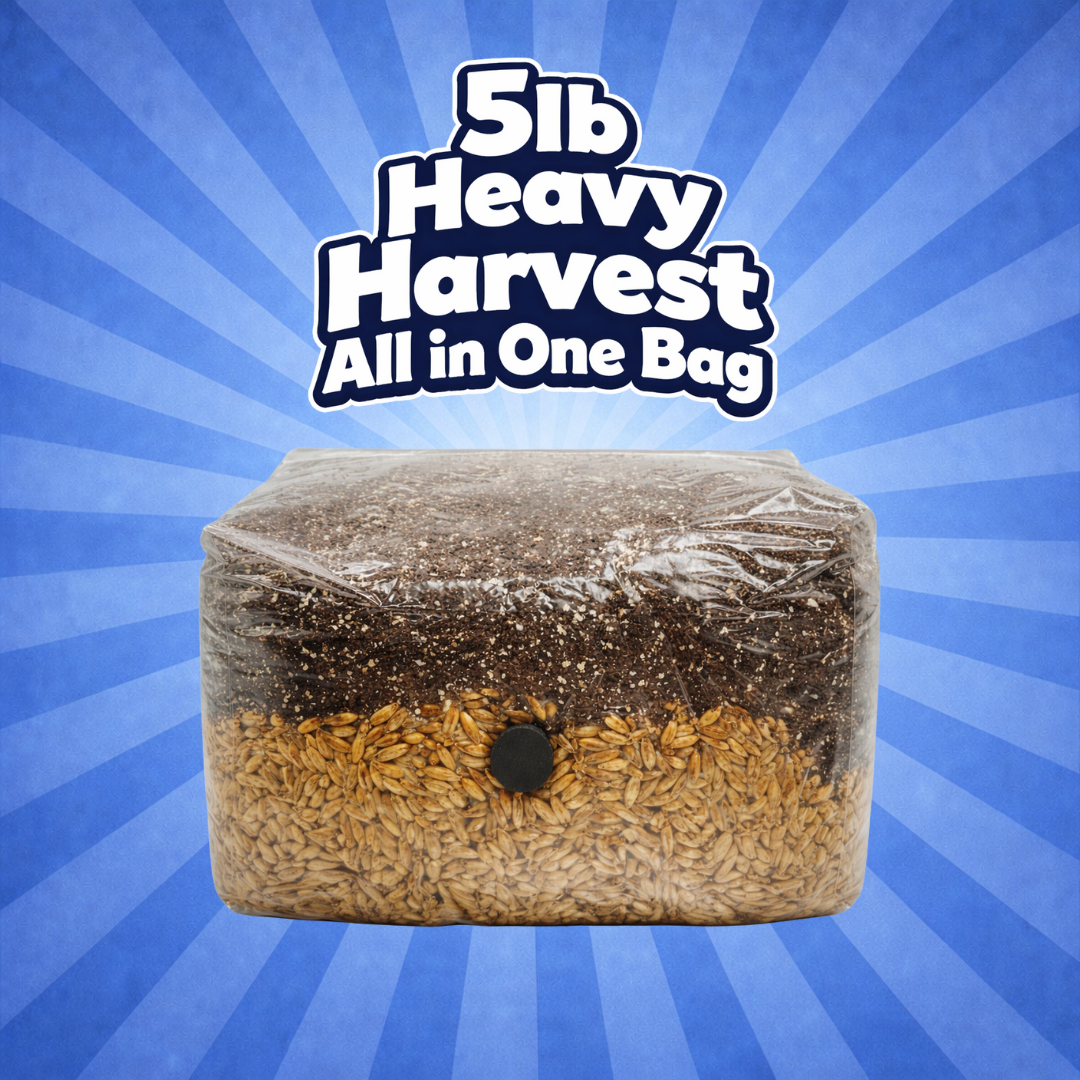 Mushrooms Ok 5lb Grow Bag Heavy Harvest
