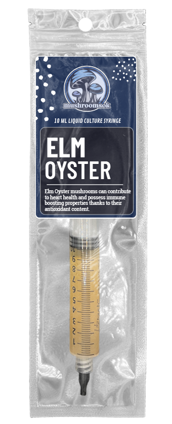 Mushrooms Ok Elm Oyster Liquid Culture 12