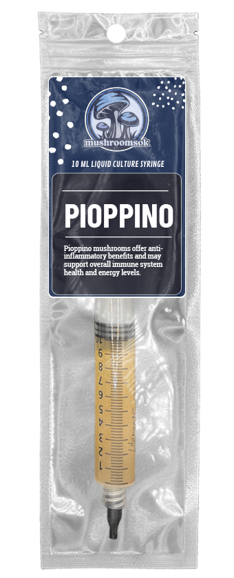 Pioppino Liquid Culture, Front