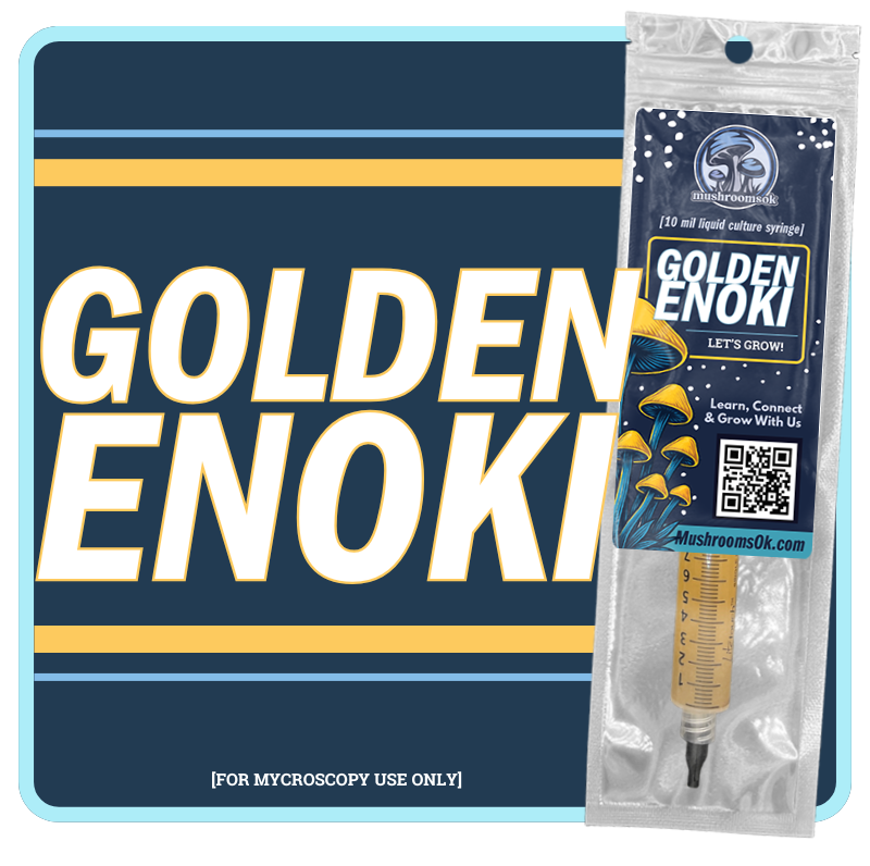 Gourmet Golden Enoki Liquid Culture 10mL Syringe