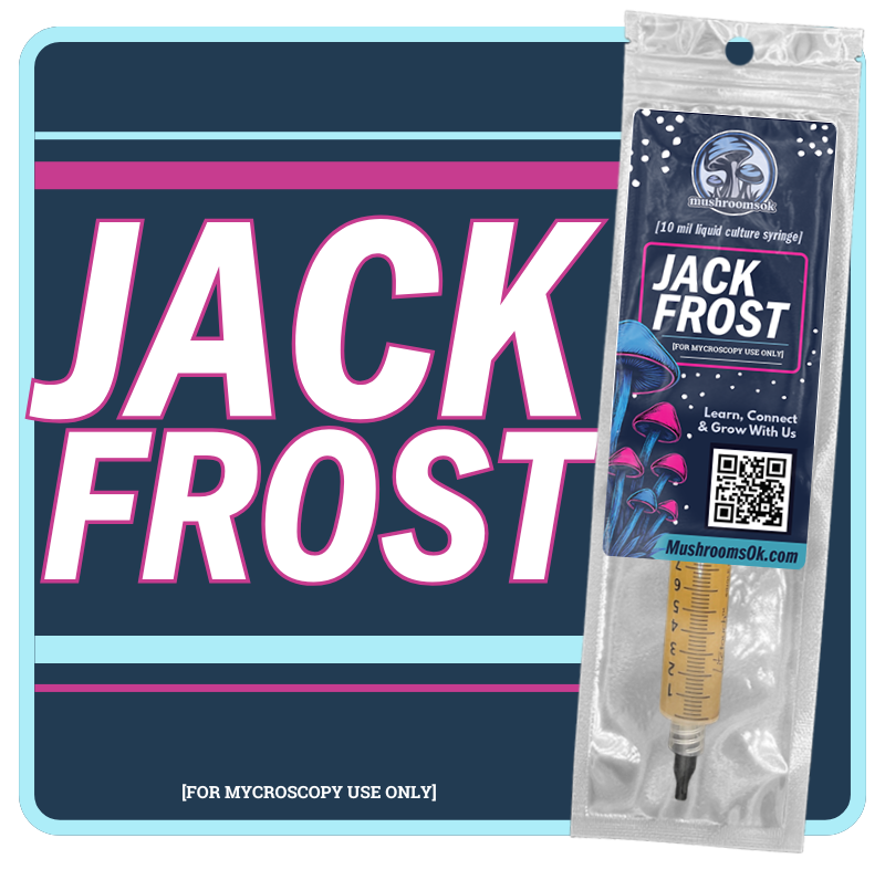 Mindset Grow Kit