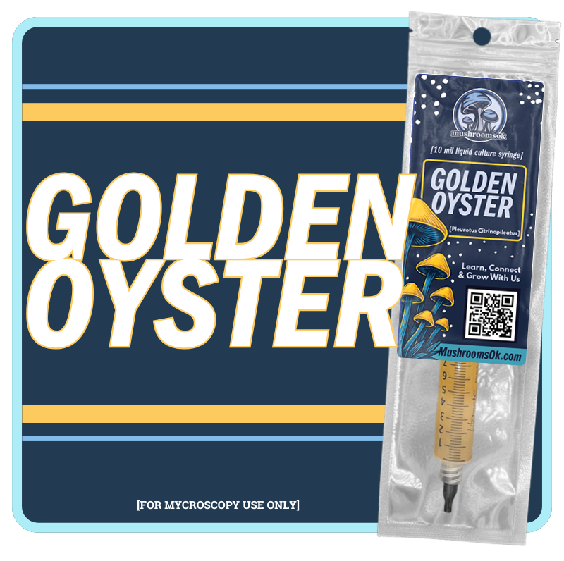 Gourmet Golden Oyster Liquid Culture 10mL Syringe