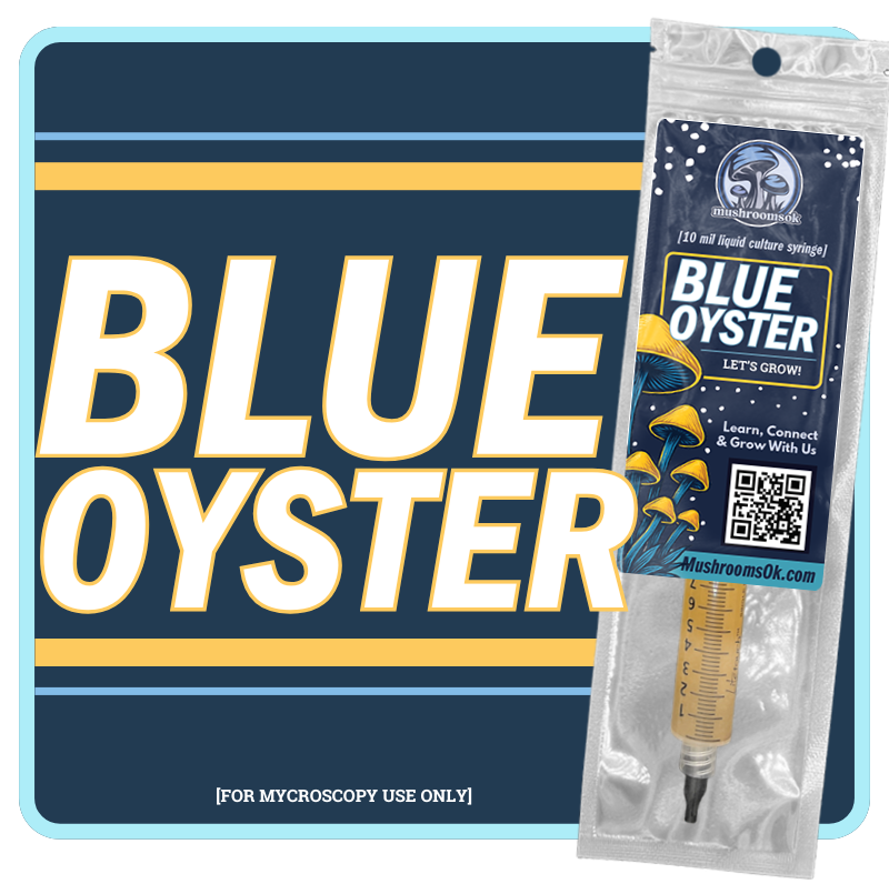 Gourmet Blue Oyster Liquid Culture 10mL Syringe