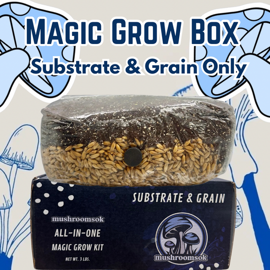 Ready to Grow Mushroom Kit