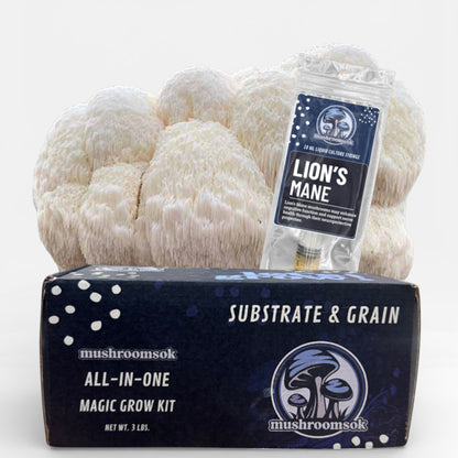 Mushrooms Ok Lions_Mane_Kit