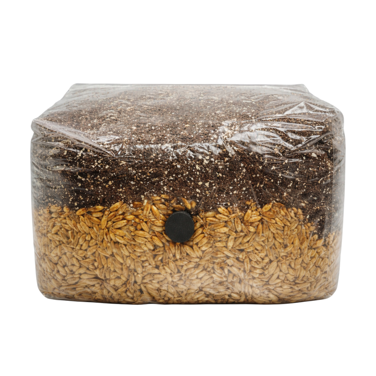 Mushrooms Ok 5lb Grow Bag