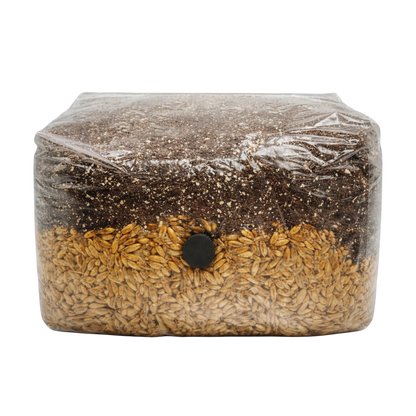 Mushrooms Ok 5lb Grow Bag