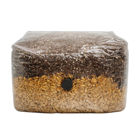 Mushrooms Ok 5lb Grow Bag