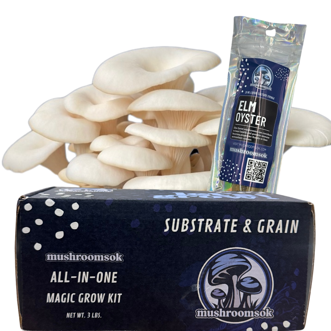 Mushrooms Ok Elm Oyster Kit