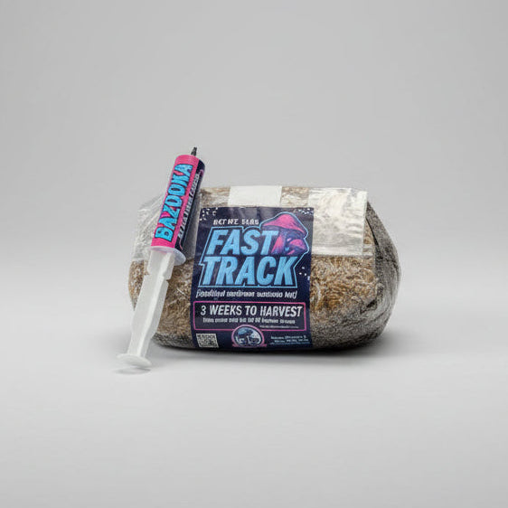 Mushrooms Ok Fast Track Bag Studio 2