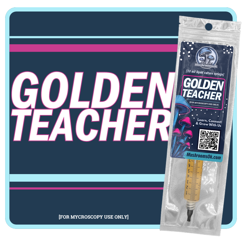Mushrooms Ok Golden Teacher Liquid Culture