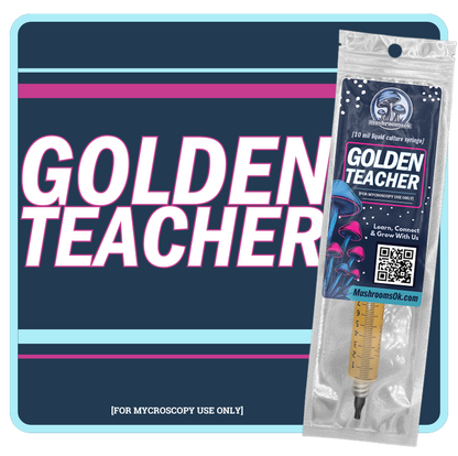 Mushrooms Ok Golden Teacher Liquid Culture