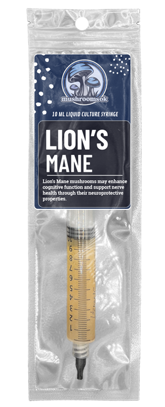 Mushrooms Ok Lions Mane 2