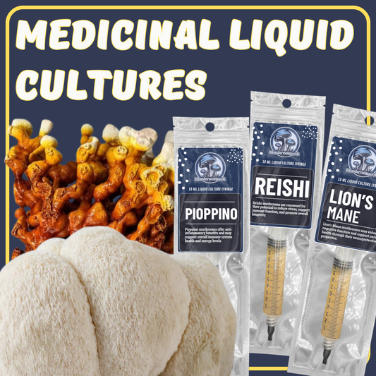 Mushrooms Ok Medicinal Liquid Culture