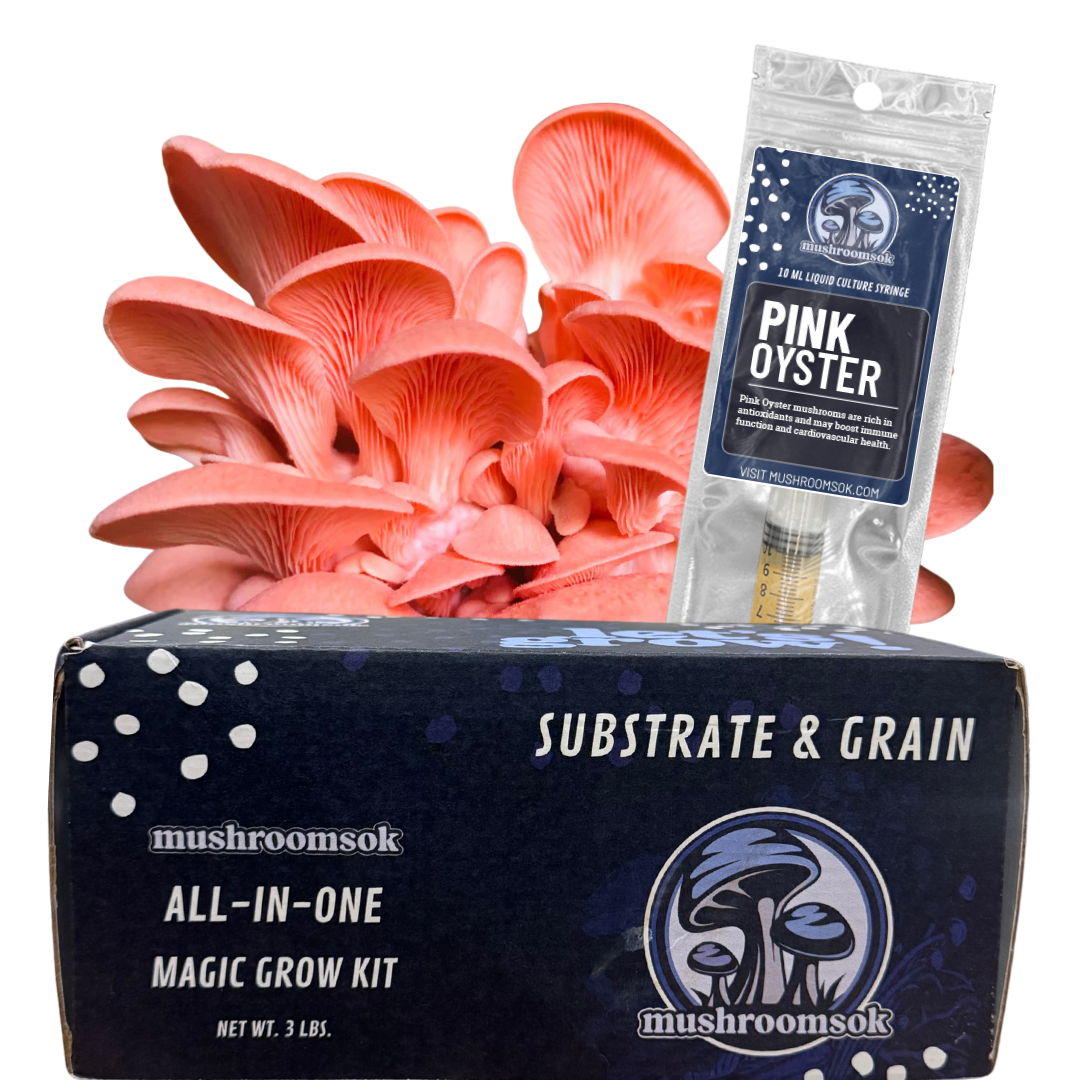 Mushrooms Ok Pink Oyster Kit