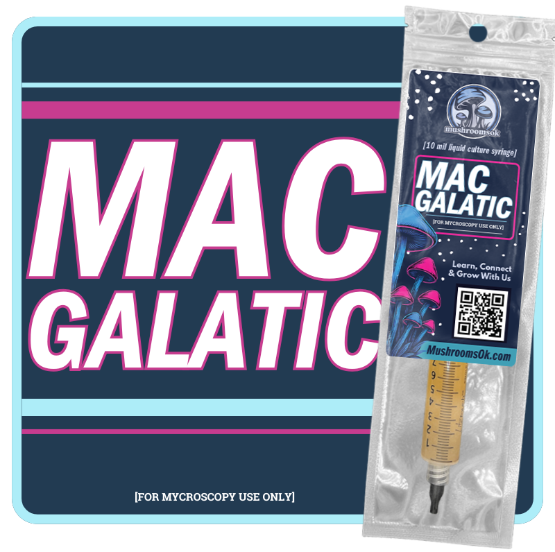 Mushrooms Ok mac Galactic Liquid Culture