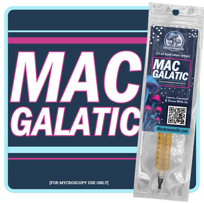 Mushrooms Ok mac Galactic Liquid Culture