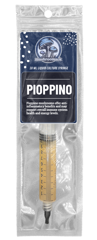 Mushrooms ok Pioppino Culture