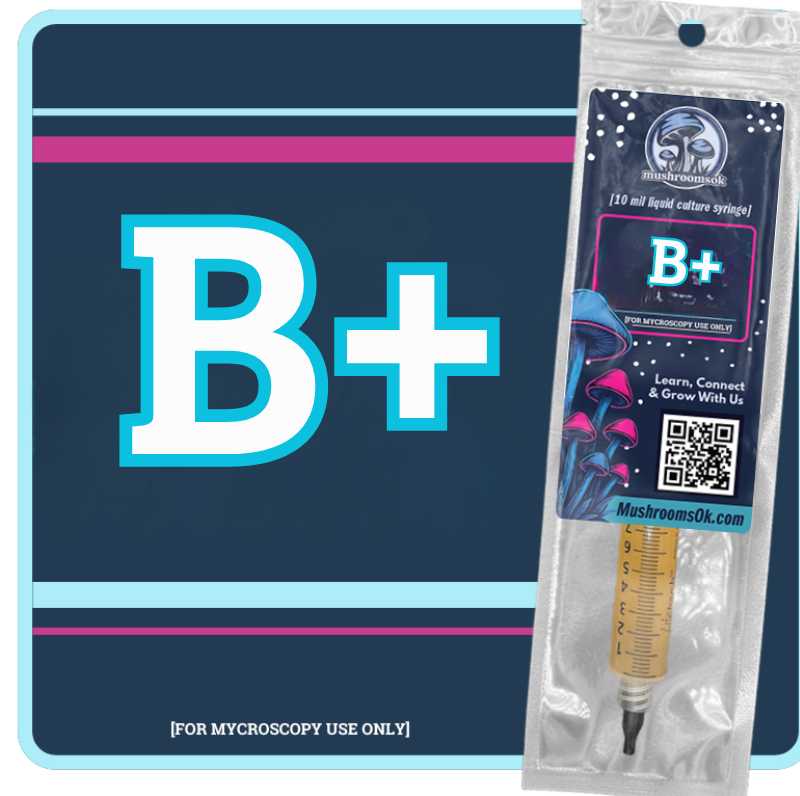 Mycology Liquid Culture