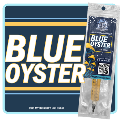 Gourmet Blue Oyster Liquid Culture 10mL Syringe